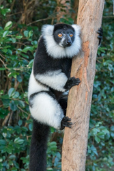 Madagascar 2022